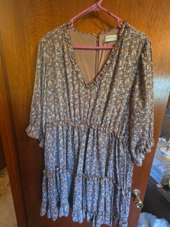 A Beautiful Soul Dresses & Skirts - A Beautiful Soul Floral Ruffle Dress in Brown and Blue